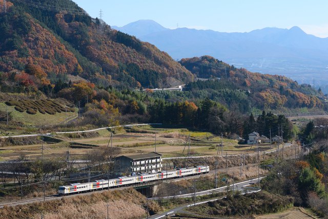 紅葉の上越線を行く185系