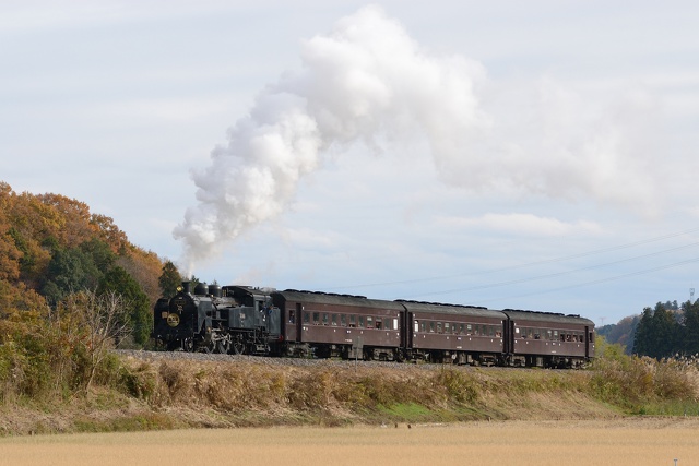 C11 325 SL奥久慈清流ライン号