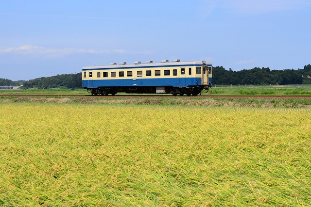 秋のひたちなか海浜鉄道