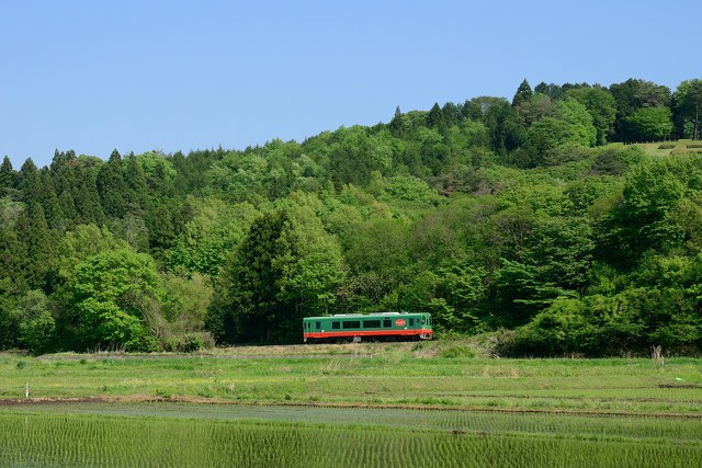 新緑の真岡鐵道