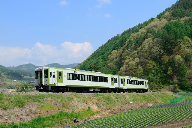 新緑の小海線を行くキハ110系