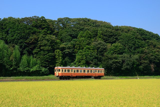 国鉄カラーの気動車