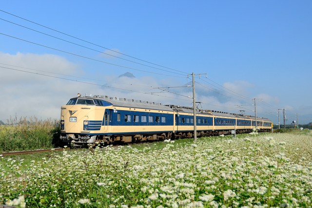 蕎麦の花と583系