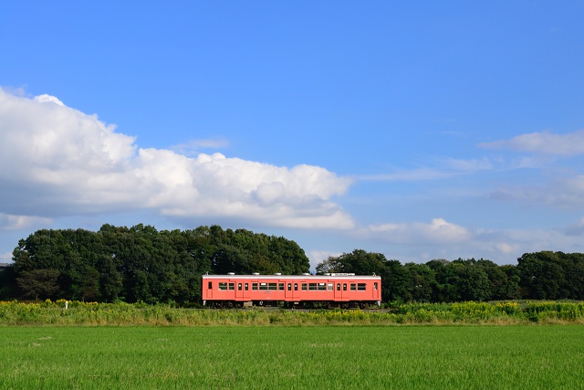 関東鉄道 キハ101