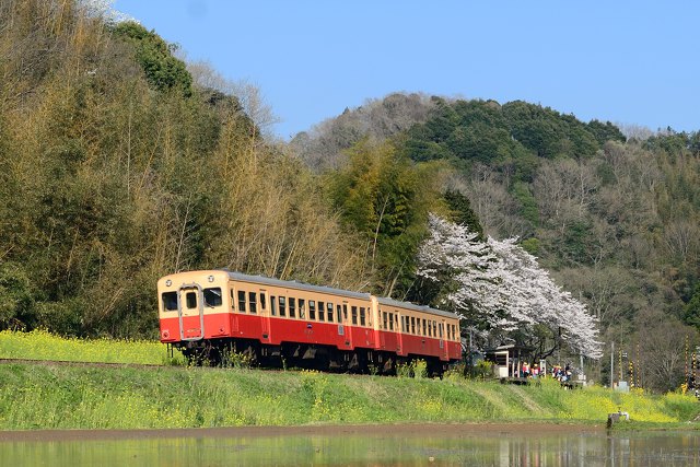 春の小湊鉄道