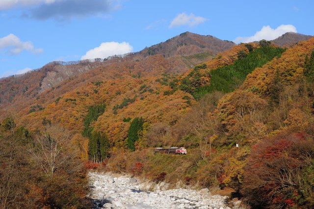 紅葉の中を行くトロッコ列車