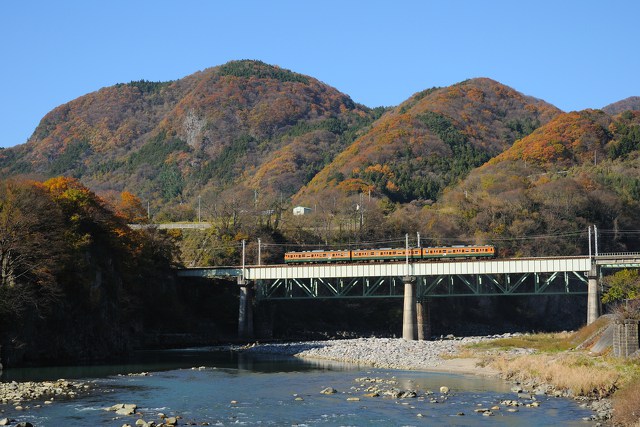 利根川を渡る湘南色115系