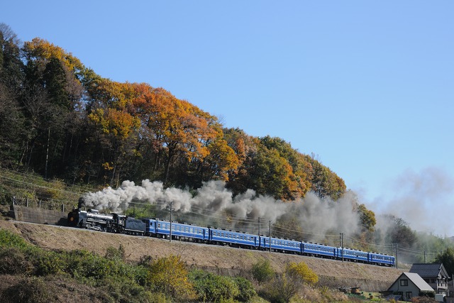 紅葉の築堤とD51 498 SLみなかみ