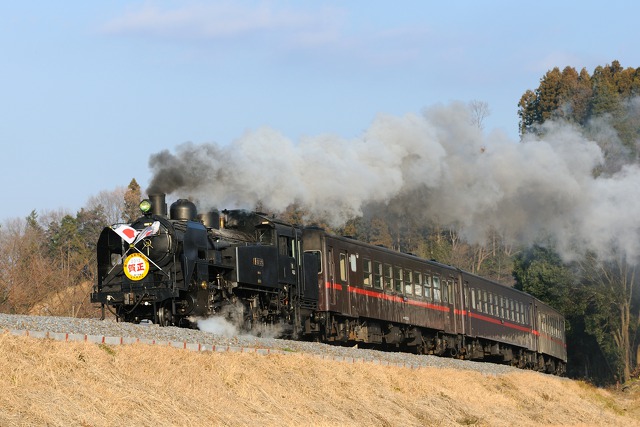 日章旗付 C11 325 SL新年号