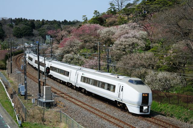 偕楽園の梅とスーパーひたち