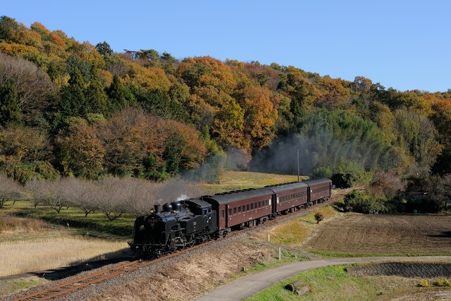 紅葉の水郡線を行くC11 325+旧客