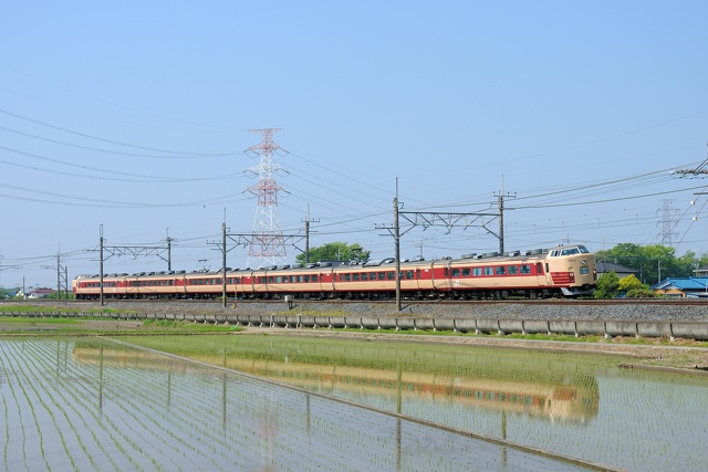 水鏡の183系 足利大藤まつり号