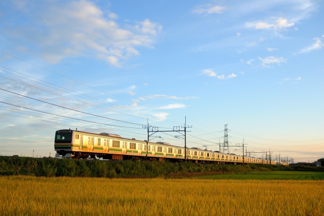 夕焼けに染まるE231系