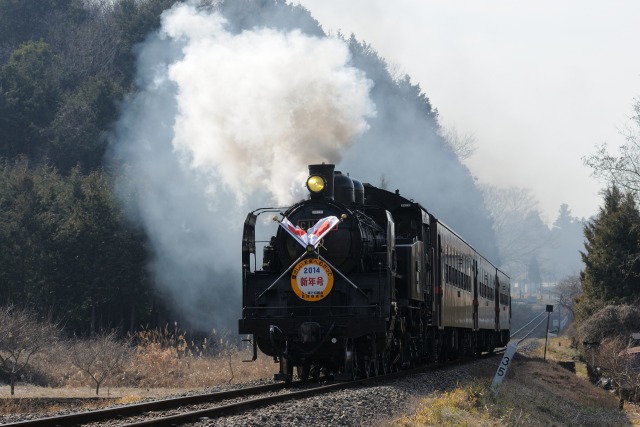 C11 325 SLもおか新年号