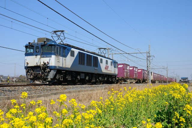 菜の花とEF64 1005貨物列車