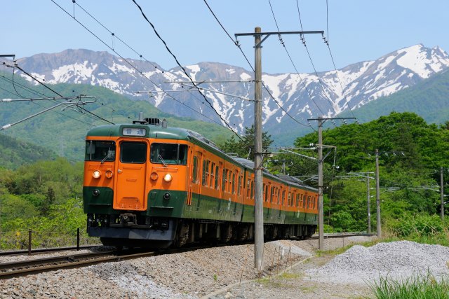 残雪の谷川岳と湘南色115系