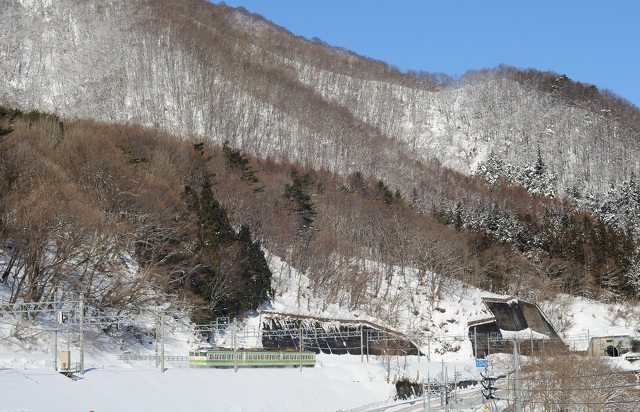 雪晴れの上越線を行く115系