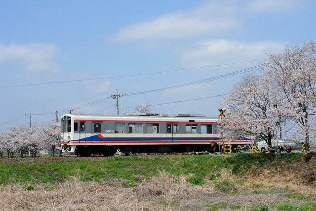 桜と関東鉄道