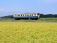 秋のひたちなか海浜鉄道