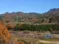 紅葉の山々とEH200貨物列車