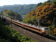 紅葉の諏訪峡を行く国鉄色183系