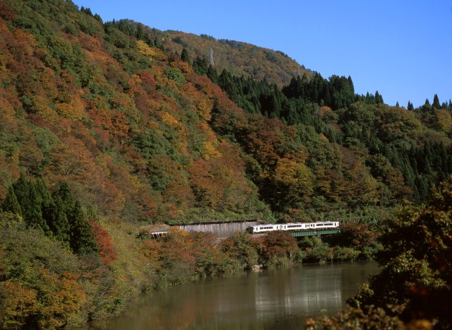 紅葉の磐越西線を行くキハ110系