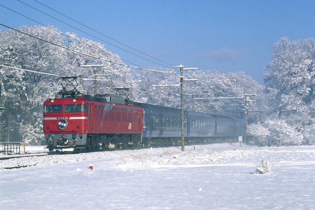 懐古 EF81北斗星 雪景色