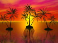 椰子の島