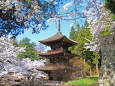 新海三社神社 三重塔