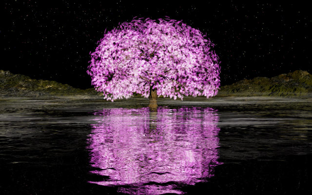 夜桜