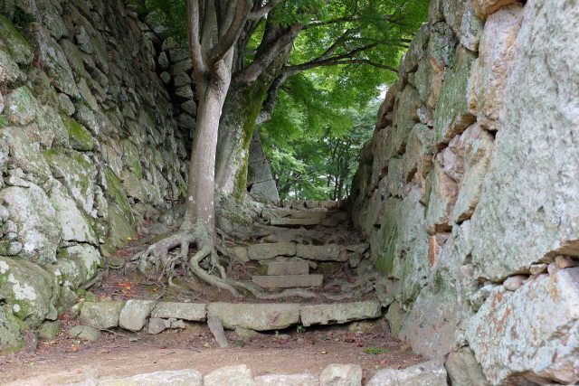 津山城の石垣と石段