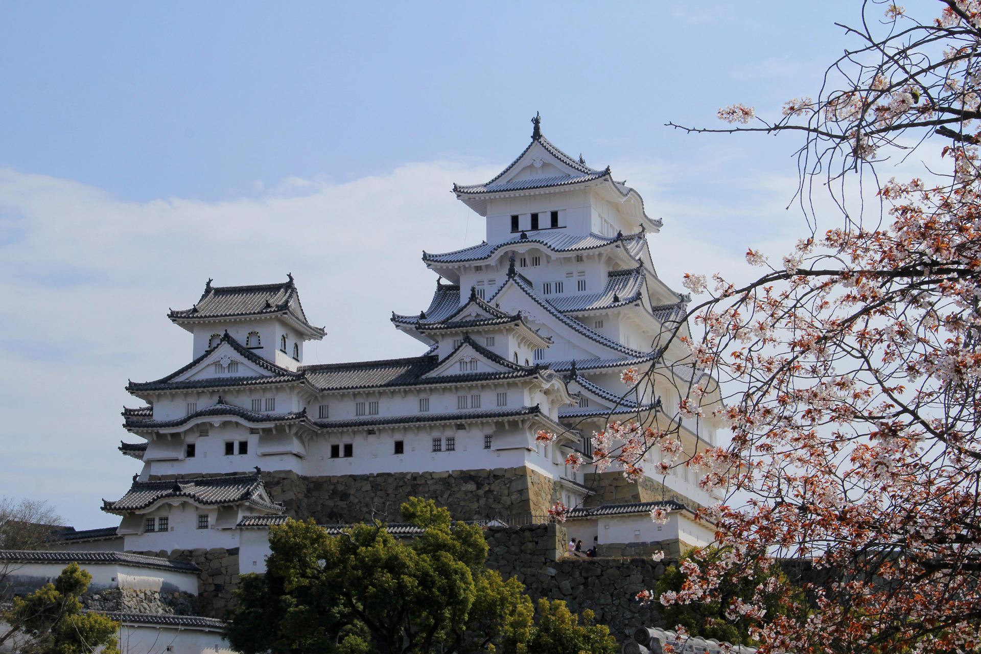 心に強く訴える姫路城 壁紙 最高の花の画像