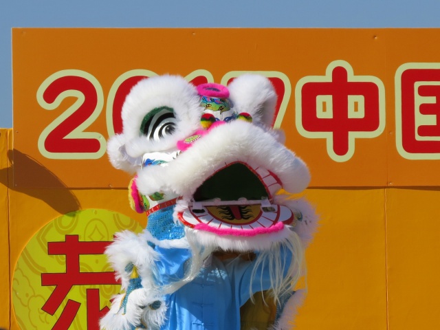 春節祭の白獅子