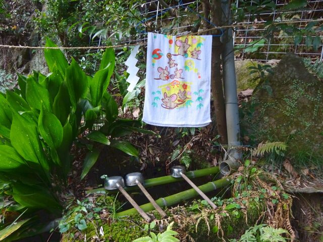 ねずみ年！ 山の神社の手水