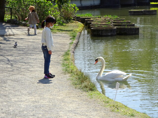 白鳥さんとお話し中