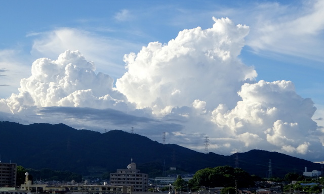 沸上がる夏の雲