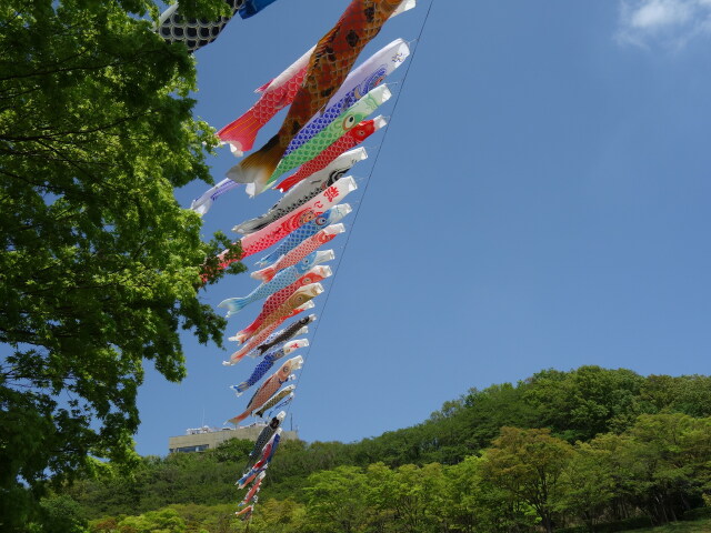 青空に泳ぐ鯉のぼり