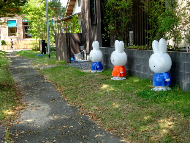 木陰の歩道で こんにちは