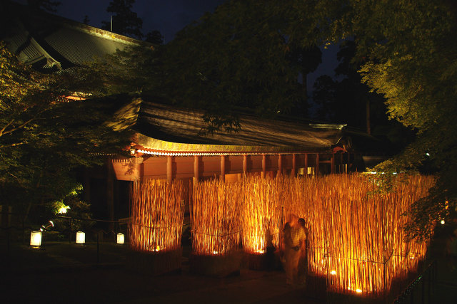 比叡山・延暦寺「法灯花」#2