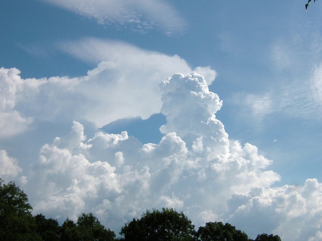 夏の空