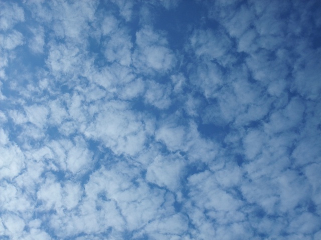 秋の空・ひつじ雲・高積雲