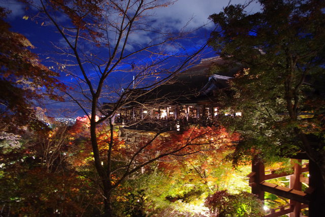 清水寺 ライトアップ