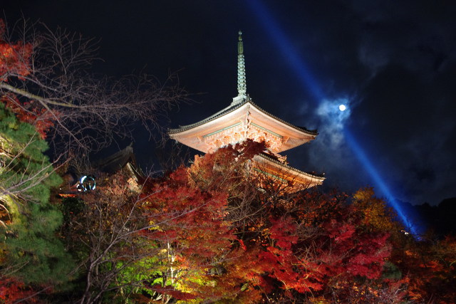 清水寺 ライトアップ 3