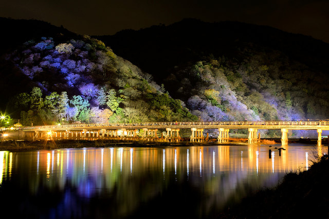 嵐山花灯路(2011年)