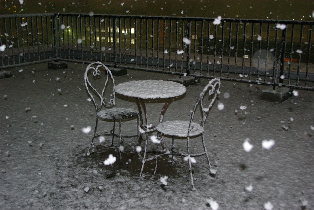 1月23日西東京の雪