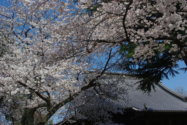 寛永寺-2