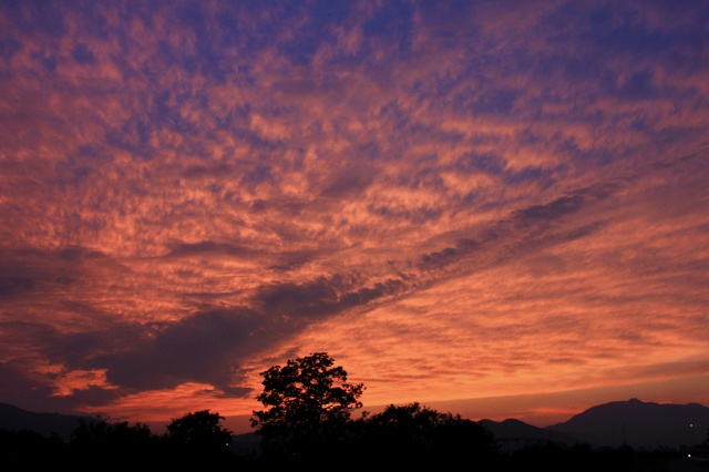 夕焼け高積雲