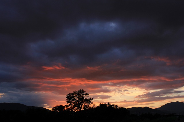 桂川夕暮れ