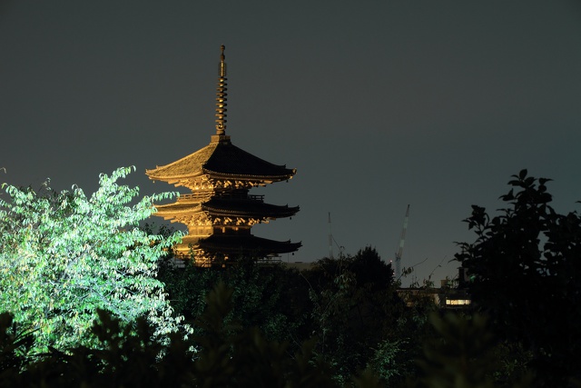 夜の八坂の塔