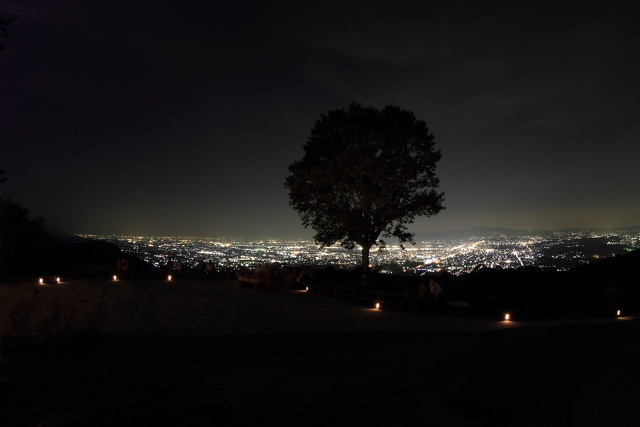 若草山の夜景